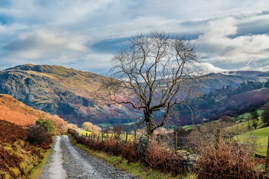 pexels-photo-722195-722195 Discover the picturesque rural beauty of Cumbria, England, with this view of a winding unpaved road and vibrant hills.